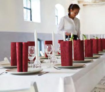 Αναλώσιμα Catering Elegance Η εξέλιξη του λινού Οι πετσέτες Elegance με την κομψή και πολυτελή τους