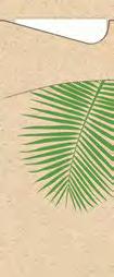 Duni Organic Dunisoft Πετσέτα 40x40cm 60 τεμ/πακ 12 πακ/κιβ 483595 4. 5.