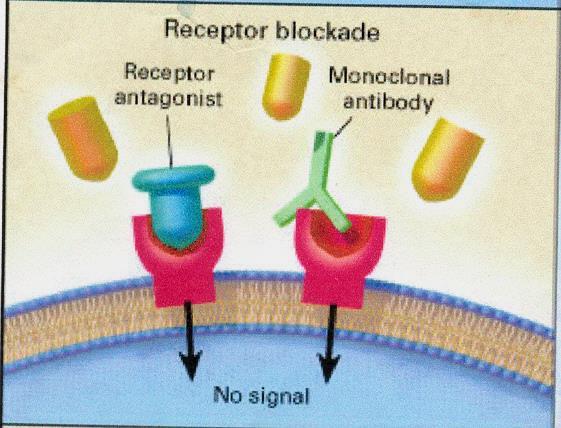 (pro-inflammatory