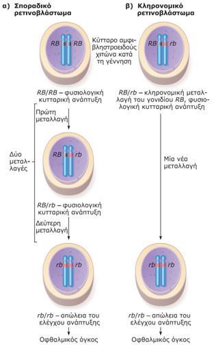 prb και