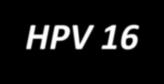 Θεσσαλία University Hospital Larissa 2004-2005 Τυποποίηση HPV 16 DNA screening self sampling.