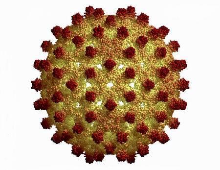 μεταβολική αλκάλωση Κίνδυνος λοιμώξεων 1/63 000 για HBV, 1/100 000 για HCV,