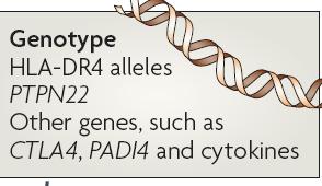 Evolution of Rheumatoid Arthritis Genes