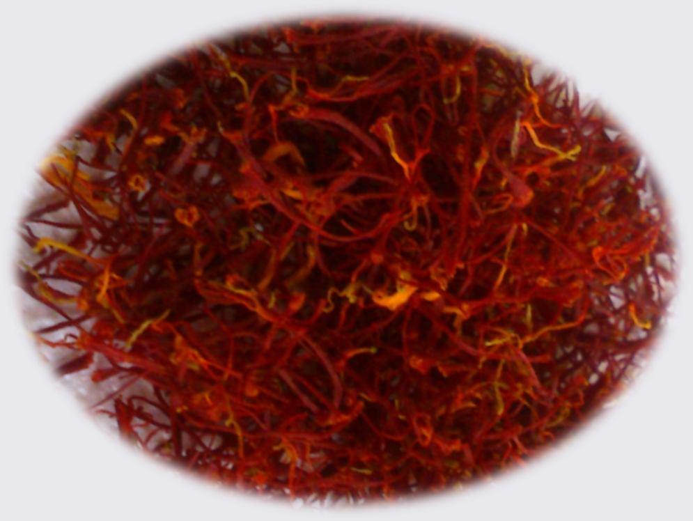Κρόκος, ζαφορά, σαφράνι (saffron) «ελαφρώς πεπλεγμένη μάζα σκούρων, καστανοκόκκινων
