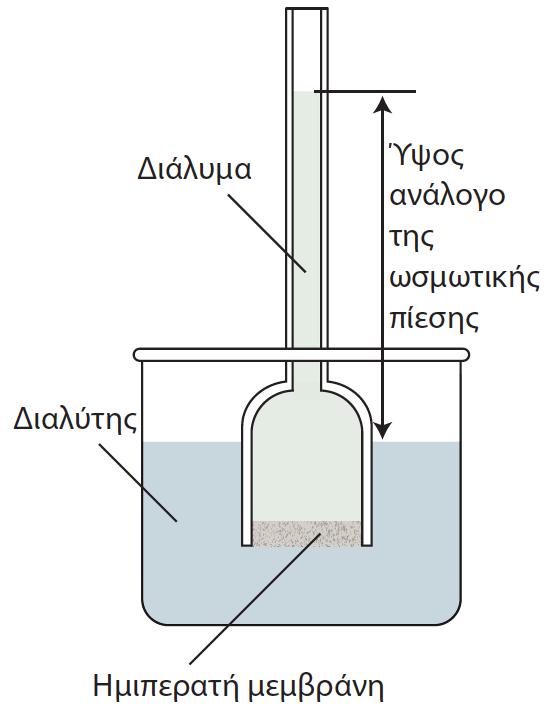 Ώσμωτική