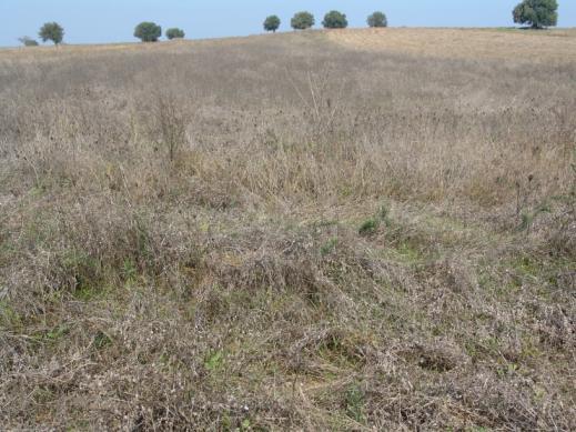 ΠΕΡΙΟΧΕΣ ΟΙΚΟΛΟΙΚΗΣ ΕΣΤΙΑΣΗΣ 6 Γη σε αγρανάπαυση: συντελεστής στάθμισης 1 Προσοχή: Με την προϋπόθεση ότι δε γίνεται χρήση