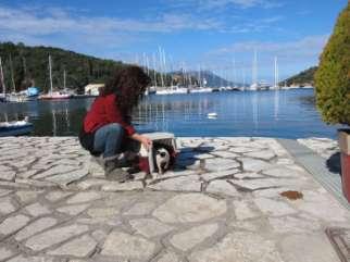 1 Στιγμιότυπα από τις στειρώσεις στο δημοτικό κτηνιατρείο Μεγανησίου. Εικ.