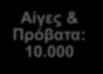 500 Καν.