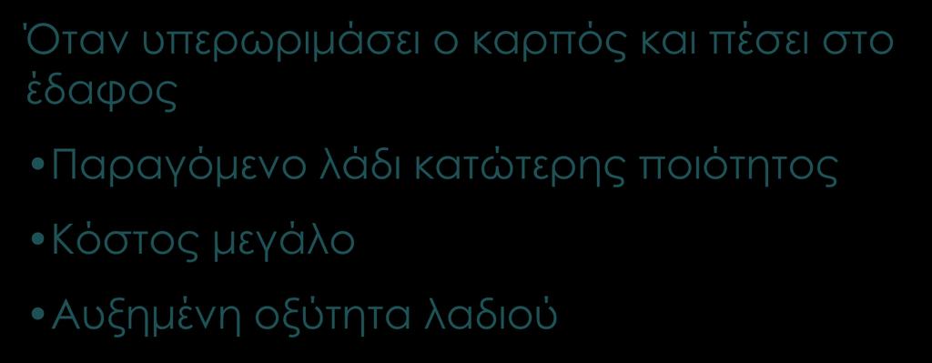 πλαστικά δίχτυα Με μηχανικά μέσα Δονητές