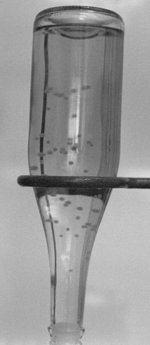 Inner/Outer Alginate concentrations 5 4 3 2 1 0