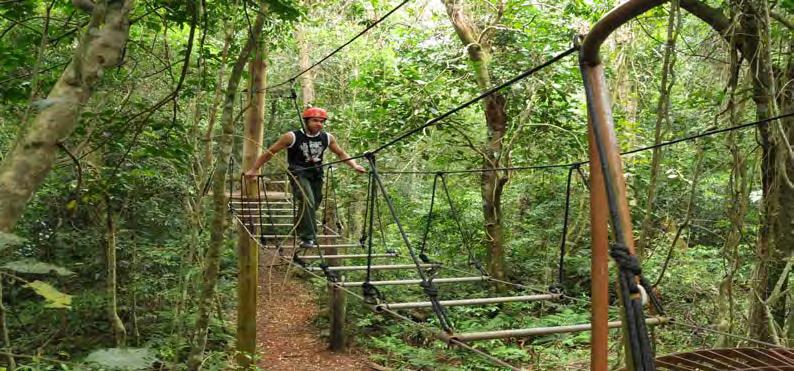 IGUAZU FOREST ΖΟΥΓΚΛΑ ΙΓΚΟΥΑΖΟΥ Έναρξη: 07:30 ή 13:30 Διάρκεια: 4 ώρες Το Forest Falls είναι μια σειρά από δραστηριότητες περιπέτειας που πρέπει να αναληφθούν σε ένα από τα πιο εντυπωσιακά μέρη της