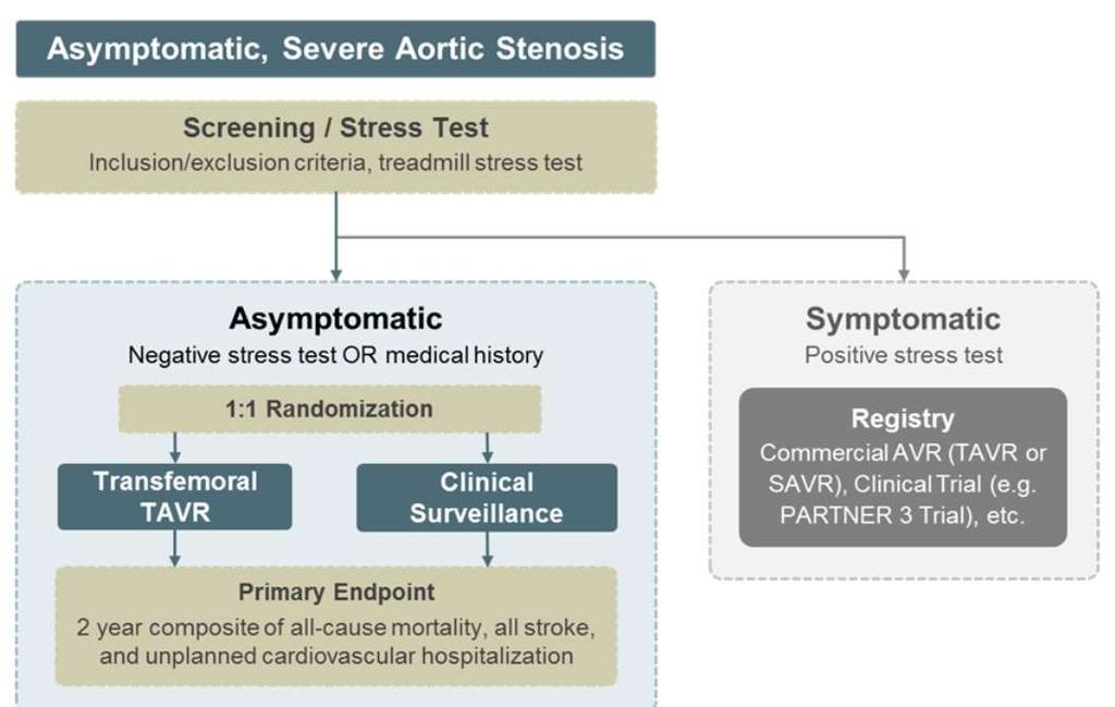 EARLY TAVR Trial n=