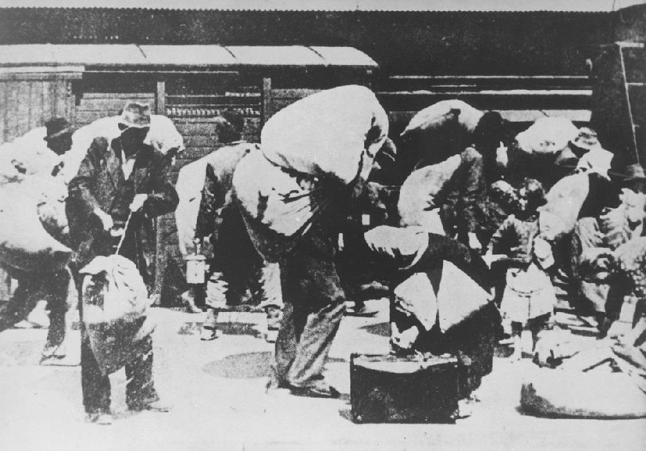 ΠΗΓΗ 4 Κατά τη διάρκεια του Δευτέρου Παγκοσμίου Πολέμου, εκατομμύρια άνθρωποι υπήρξαν θύματα μαζικών εκτελέσεων, εκτοπίσεων, λιμοκτονίας, καταναγκαστικής εργασίας, στρατοπέδων συγκεντρώσεως και