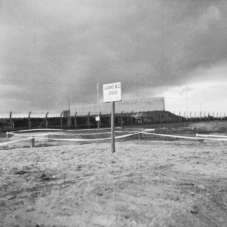 Θύματα των στρατοπέδων θανάτου Φωτογραφία που δείχνει μια άποψη ενός καλυμμένου ομαδικού τάφου (Στρατόπεδο Bergen- Belsen, Γερμανία, 1945). Η πινακίδα στον τάφο γράφει «Τάφος αριθ.