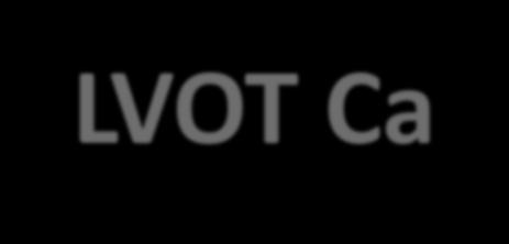 LVOT Ca ++ in MSCT Latsios G,