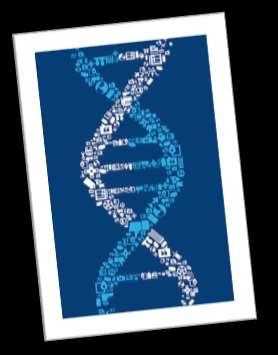 Οι μελέτες προσδιορισμού αλληλουχίας του γονιδιώματος (GWAS), έχουν εντοπίσει