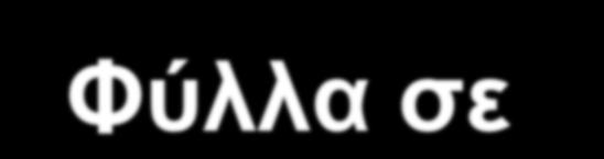 Φύλλα σε B + -Trees Ιδιότητες ενός κόμβου φύλλου: Για i = 1, 2,.