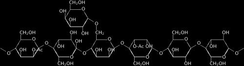 Γλυκομαννάνη και γαλακτογλυκομαννάνη στην ξυλώδη βιομάζα Γλυκομαννάνη Γραμμική κυρίως β-1,4 σύνδεση μανόζης και γλυκόζης σε αναλογία 8:5 (περίπου) Μπορεί να ακετυλιωθεί στον