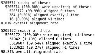 Εικόνα 90: Ηtseq-count (raw_data_all) Από την ολοκλήρωση της χαρτογράφησης στην mirbase και στη συνέχεια στο