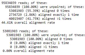 Εικόνα 95: Idxstats (rawdatarep3) Από την ολοκλήρωση της χαρτογράφησης στo αναφορικό γονιδίωμα (reference genome) και στη συνέχεια στην mirbase προέκυψαν τα παρακάτω δεδομένα: Εικόνα 96: Αποτελέσματα