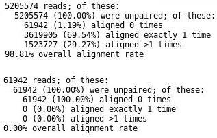 Εικόνα 105: Idxstats (raw_data_all) Από την ολοκλήρωση της χαρτογράφησης στην mirbase και στη συνέχεια στο αναφορικό γονιδίωμα (reference genome) προέκυψαν τα παρακάτω δεδομένα: Εικόνα 106: