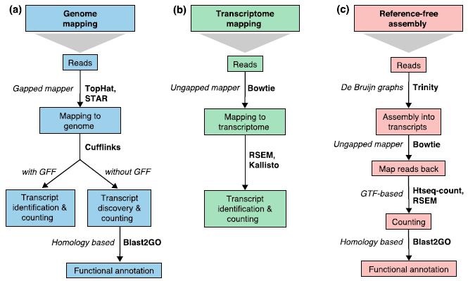 Πηγή: [22] Εικόνα 5: Στρατηγικές χαρτογράφησης Read και ταυτοποίησης Μεταγράφου Οι τρεις βασικές στρατηγικές για τη διαδικασία της ανάλυση RNA-seq. 1.