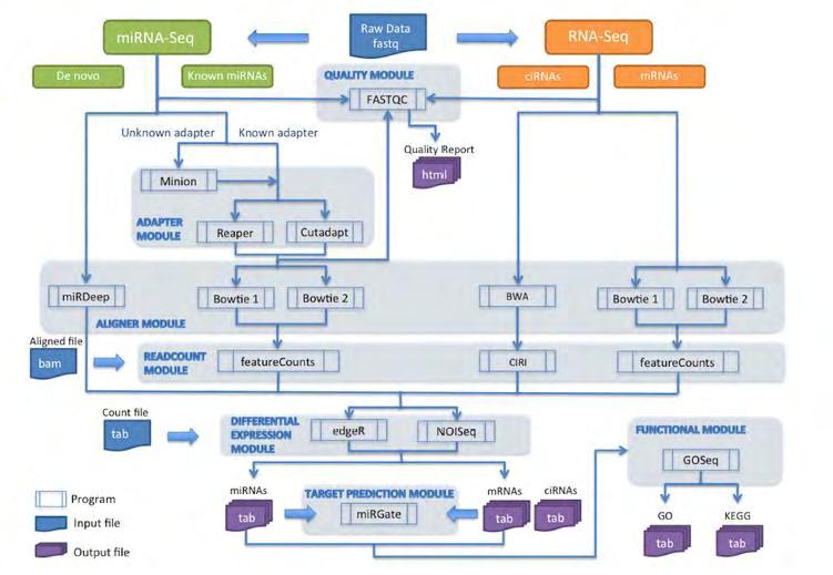 Το miarma-seq είναι ένα ολοκληρωμένο εργαλείο για την ανάλυση mirna, mrna και circrna.