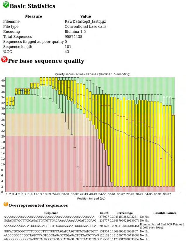 Εικόνα 23: Aποτελέσματα πρώτου Ποιοτικού Ελέγχου (rawdatarep3) Βήμα 2 ο : FASTQ format Conversion Χρησιμοποιώντας το