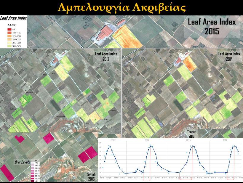 3. Εφαρμογή στοχευμένων καλλιεργητικών φροντίδων για κάθε τμήμα του αμπελώνα, ανάλογα με τις πραγματικές του ανάγκες Επιλεκτικός τρυγητός εκμετάλλευση της