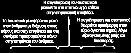 μεταφορά της προς προσρόφηση ένωσης από τον κύριο όγκο του υγρού στο οριακό στρώμα της σταθερής επιφανειακής στοιβάδας, που περιβάλει το προσροφητικό υλικό (λαμβάνει χώρα με εξαναγκασμένη ροή και