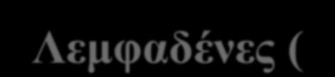 Λεμφαδένες (N, Nodes) Η ανάλυση των υφισταμένων δεικτών Ν (7 η σταδιοποίηση: κατηγοριοποίηση με βάση ζώνες λεμφαδένων) σε κλινική και παθολογοανατομική σταδιοποίηση έδειξε ότι σαφώς κατηγοριοποιούν