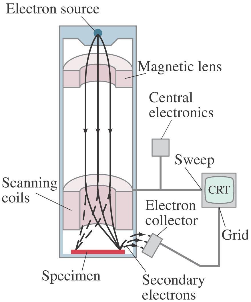 37-8 Ηλεκτρονικά Μικροσκόπια Στο ηλεκτρονικό μικροσκόπιο σάρωσης η δέσμη των