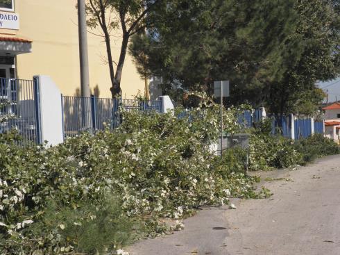 Σύνολο νοικοκυριών Κάδοι 260lt Εκτροπή οργανικών (tn) Σκούπα,η 20 20 3,51 Κάμπος,ο 9 9 1,68 Κάρδαμος,ο 5 5 0,92 Παλαιοχώριον,το 7 7 1,22 Πλατανάκια,τα 6 6 0,99 Τσιαπαλαίικα,τα 5 5 0,84 Φράξος,ο 4 4