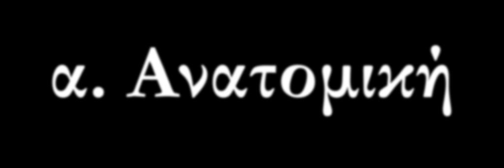 ΑΠΕΙΚΟΝΙΗ ΣΗ ΣΕΥΑΝΙΑΙΑ ΝΟΟΤ