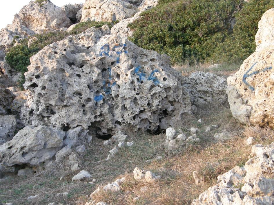 διαφορετικού τύπου Συνολικός αριθμός φωλιών: 516 (νήσος Σταμφάνι) Χρήση συσκευών GPS,