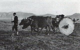 Ζτςι διευκόλυνε τον αγρότθ ςτθν μεταφορά και του ςιταριοφ, κρικαριοφ, άχυρου, ξυλείασ από το χωράφι ςτθν αποκικθ.