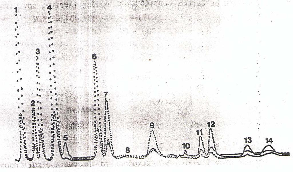 Αμινογράφημα Αμινογράφημα των ουδέτερων και όξινων αμινοξέων της πρωτεΐνης των σπορίων τομάτας. Στήλη 70 cm. Ρητίνη JEOL-LC-R-I). Ρυθμιστικά διαλύματα ph 3,31 και 4,25. Χρόνος αλλαγής 140 min.