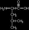ΑΜΙΝΟΞΕΑ 30 Όνομα Γλουταμινικό οξύ Αμινοξύ 3,22 2,19 9,67 Γλυκίνη 6,06 2,34 9,78 Σύμβολο 3 ή 1 γράμματα Μοριακό