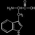 2 a-amino-α-methyl thiol-n-butyric acid Phe F 165.2 a-amino-β-phenyl propionic acid Pro P 115.