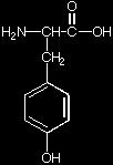 ΑΜΙΝΟΞΕΑ 32 Αμινοξύ Μοριακό βάρος Όνομα Δομή Όνομα Τυροσίνη 5,65 2,20 9,11 Σύμβολο 3 ή 1 γράμματα Tyr y 181.