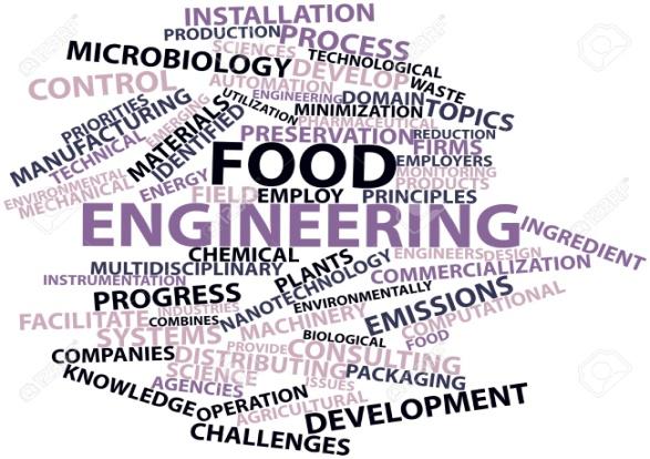Food engineering 6 Food Engineering covers the study, modeling and design of ingredients and foods at all scales using technological innovations and engineering principles in the development,