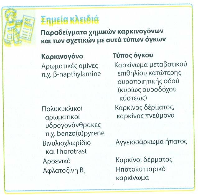 Η β-ναφθυλαμίνη εισέρχεται στο σώμα μέσω της αναπνευστικής οδού και απενεργοποιείται με την σύνδεση της με