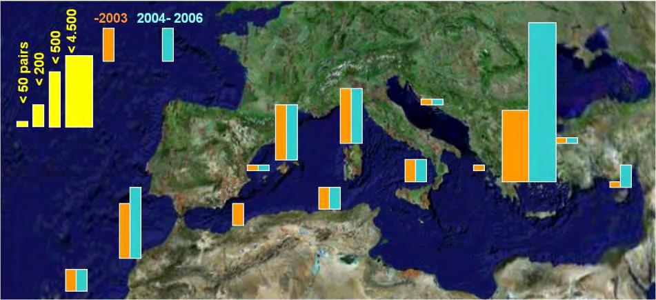 Δράσεις για την προστασία του Μαυροπετρίτη (Falco eleonorae) στην