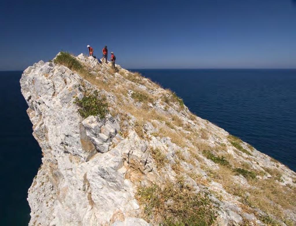 ανέδειξαν τη σημασία της Ελλάδας ως τόπο αναπαραγωγής (>80% του