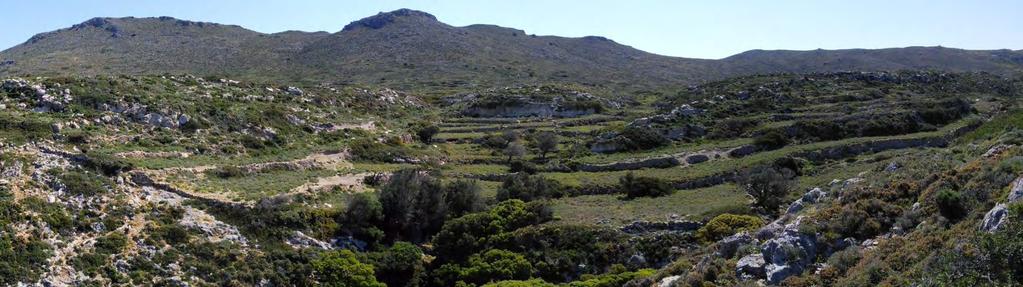 Διαχειριστικές δράσεις για τη διευκόλυνση της προσαρμογής