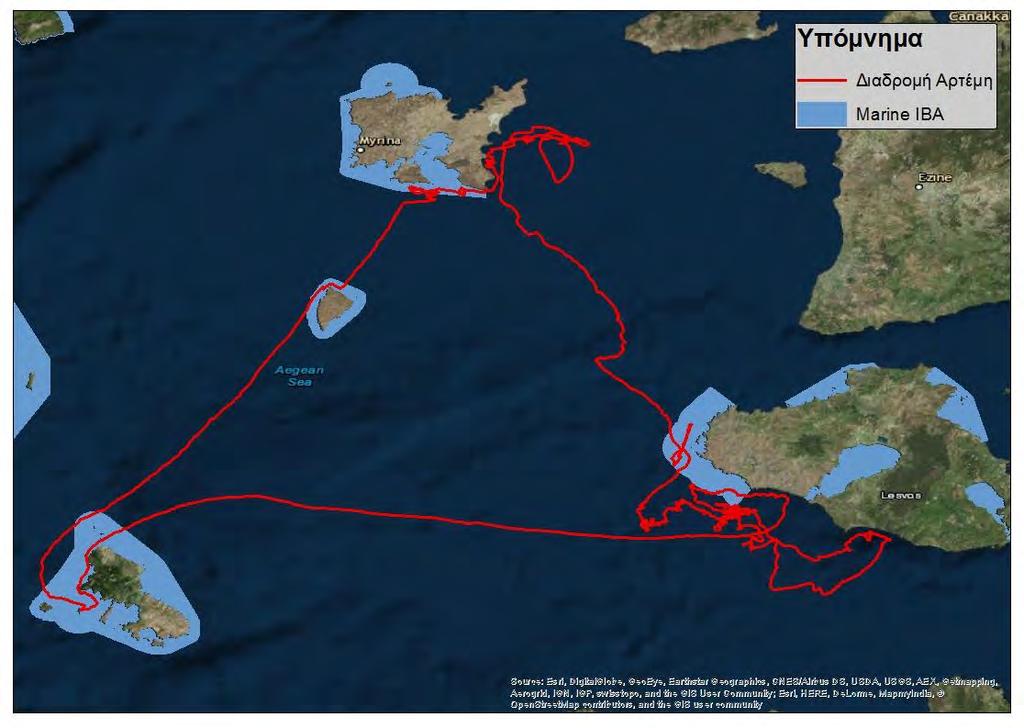 Προσδιορίζοντας