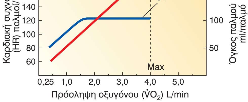 Σχέση μεταξύ HR, VO 2 και