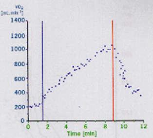 Oxygen Uptake/Blood Lactate kinetics The reduction in Vο 2 was caused by the reduced