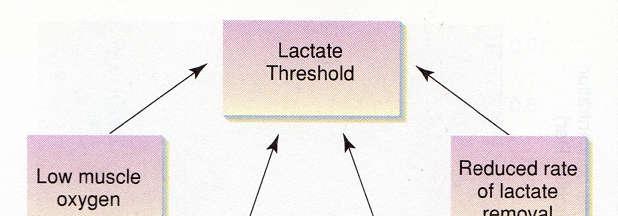 Lactate