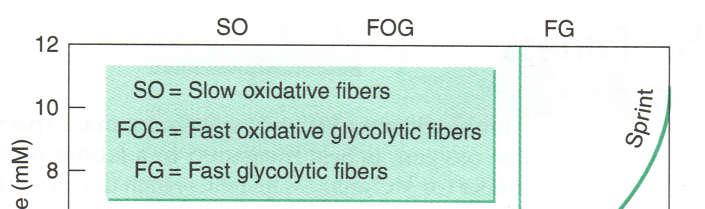 Anaerobic